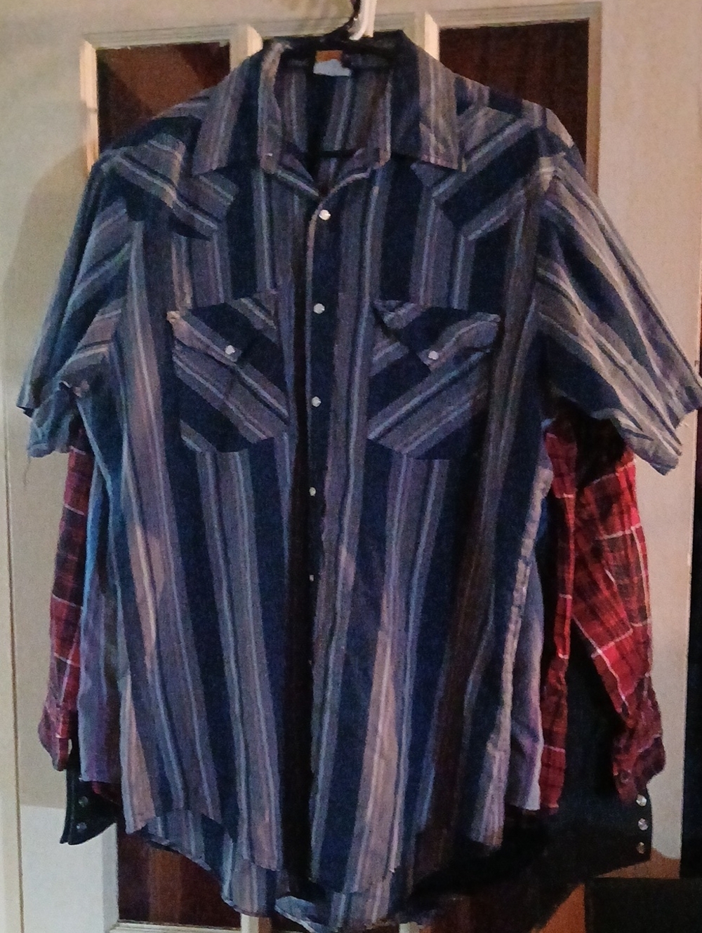 Men's Blue Striped Western Shirt